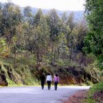 Paseo por la montaña