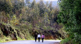 Paseo por la montaña
