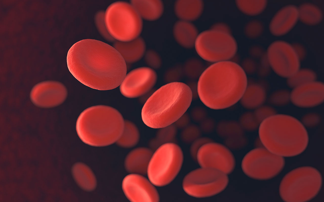 Anemia: Qué Es, Síntomas, Causas y Tratamiento
