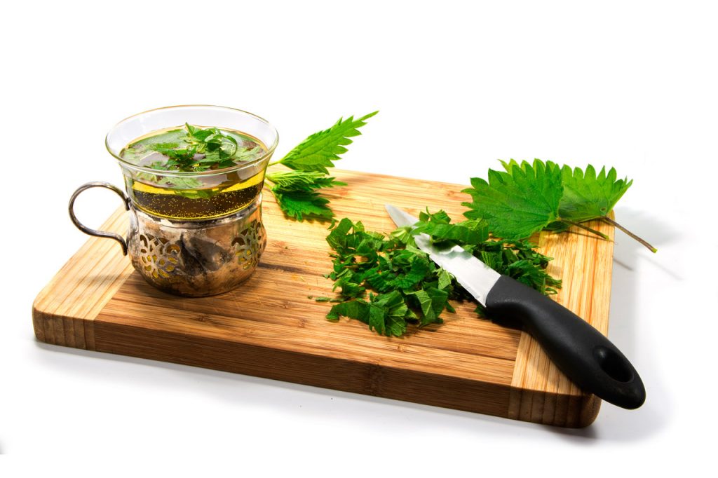 16 Beneficios de la Ortiga que Probablemente Desconocías | Mis Remedios