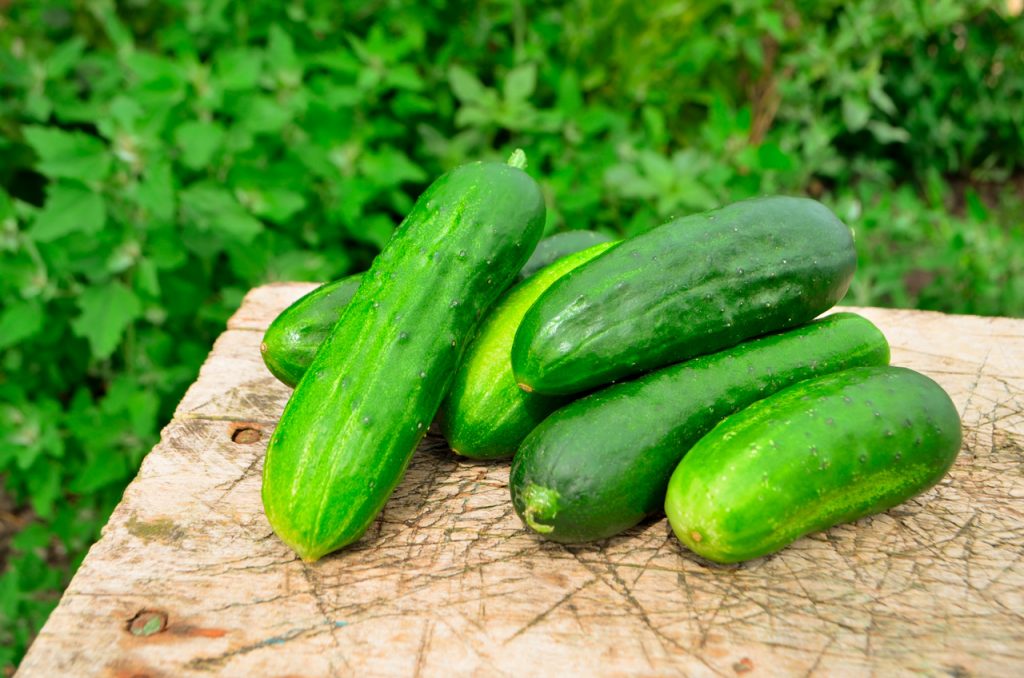 Incorpora los Pepinos a tu Dieta y Descubre sus 14 Mayores Beneficios