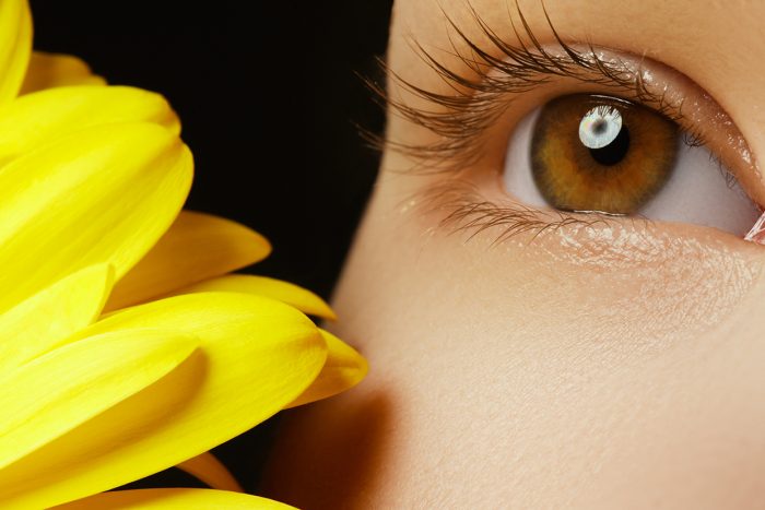 Close-up Macro Of Beautiful Blue Female Eye With Perfect Shape E