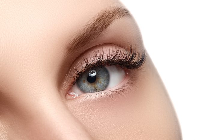 Macro Shot Of Woman's Beautiful Eye With Extremely Long Eyelashe