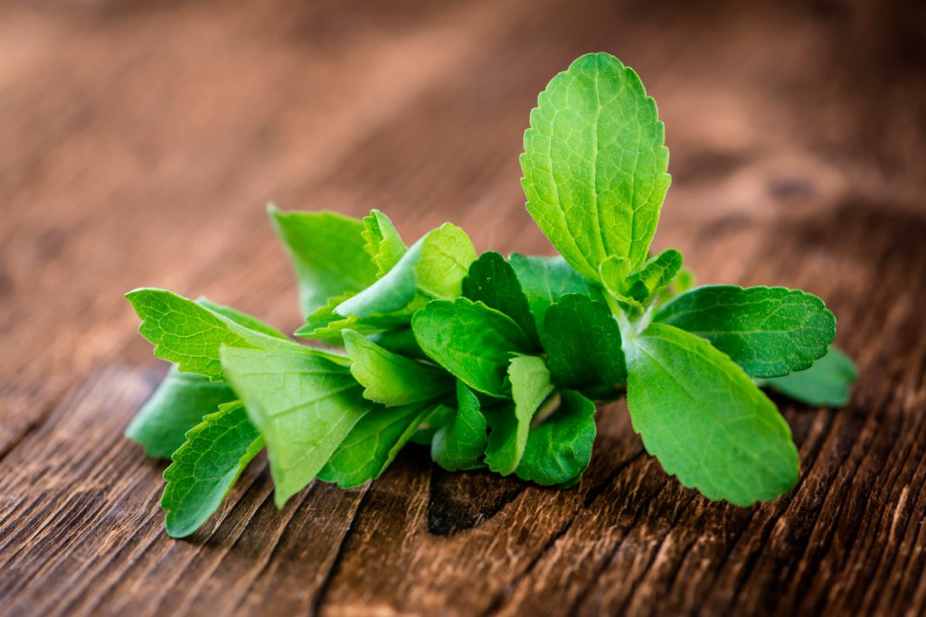 Stevia Un Edulcorante Natural con Increíbles Beneficios Mis Remedios