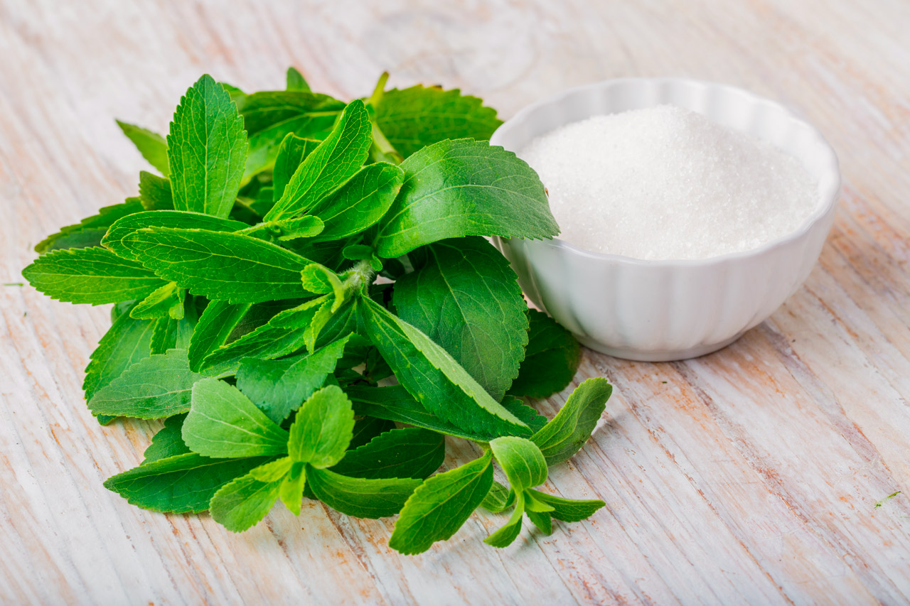 Stevia Un Edulcorante Natural con Increíbles Beneficios Mis Remedios