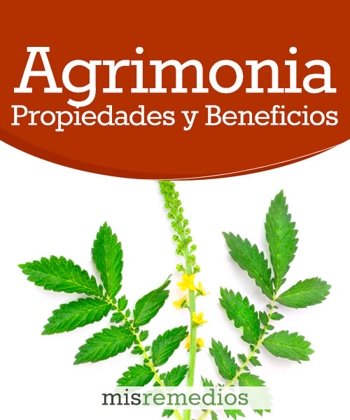 Agrimonia