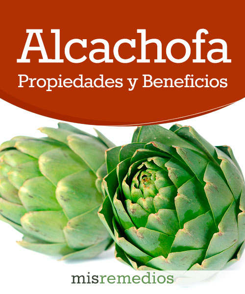 Alcachofa