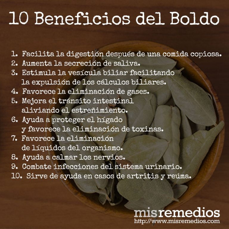 Boldo Mis Remedios 