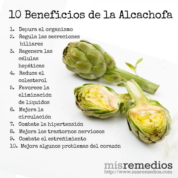 Qué Es La Alcachofa Y Sus Beneficios Estos Beneficios